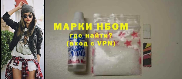 бошки Алексин