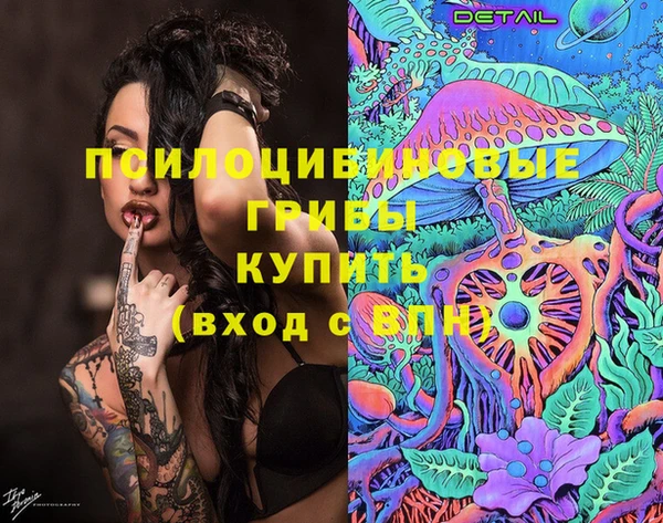 амф Алзамай