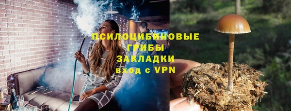 амф Алзамай