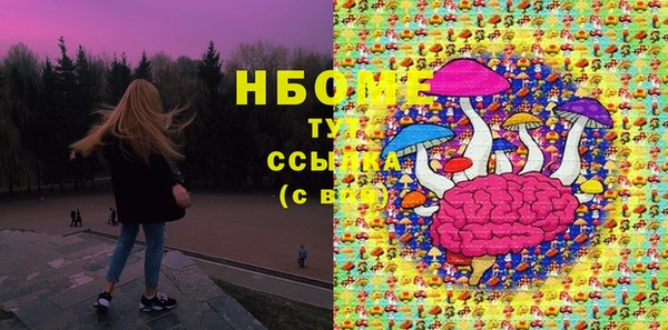бошки Алексин