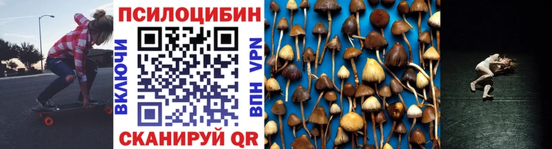 ОМГ ОМГ ссылки  Лагань  Галлюциногенные грибы Cubensis 